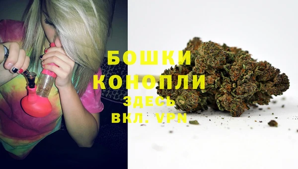 спиды Няндома