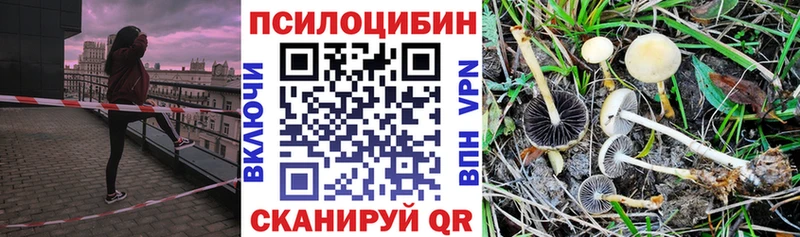 MEGA tor  Грязовец  Галлюциногенные грибы мицелий 